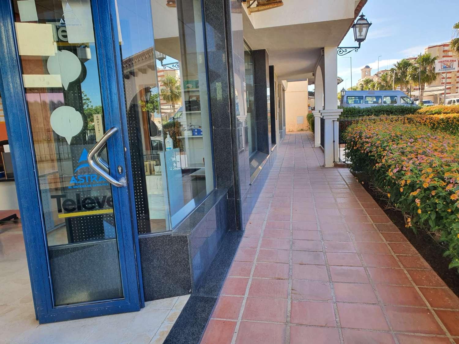 Premise for Sale in Torrox