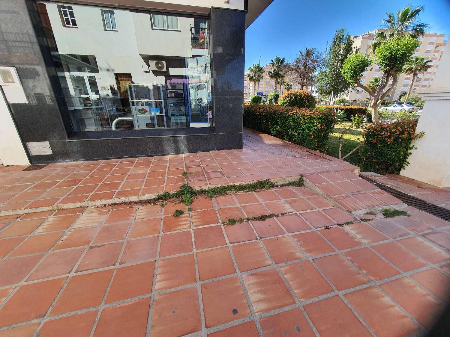 Premise for Sale in Torrox