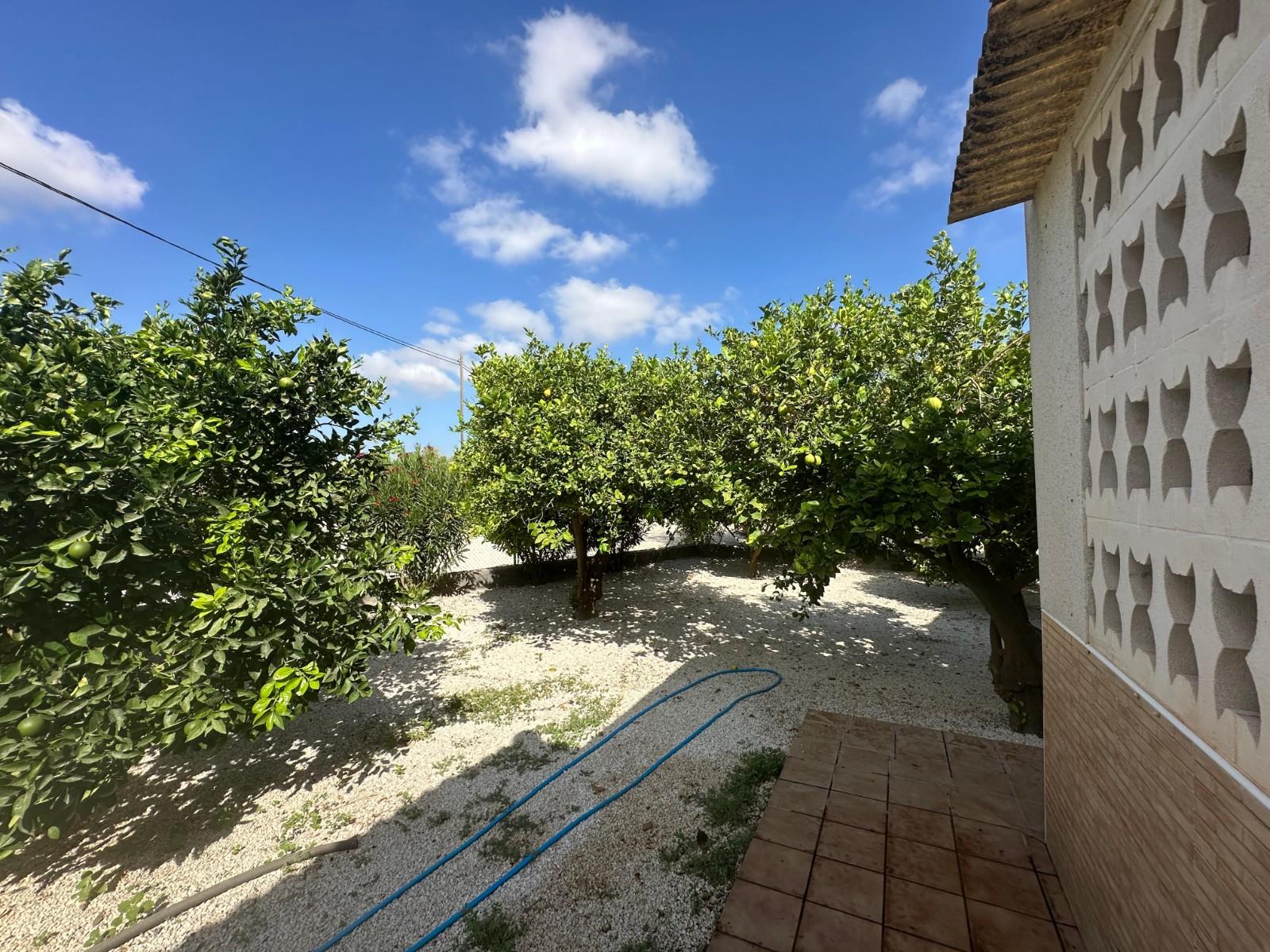 Casa en Venta en Crevillent