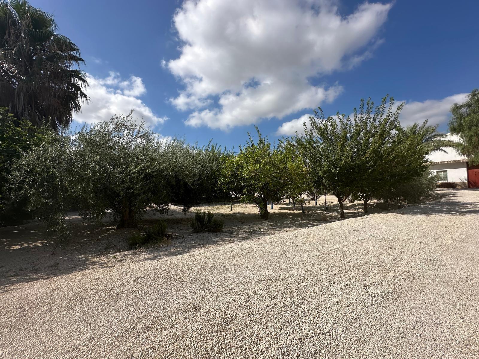 Casa en Venta en Crevillent
