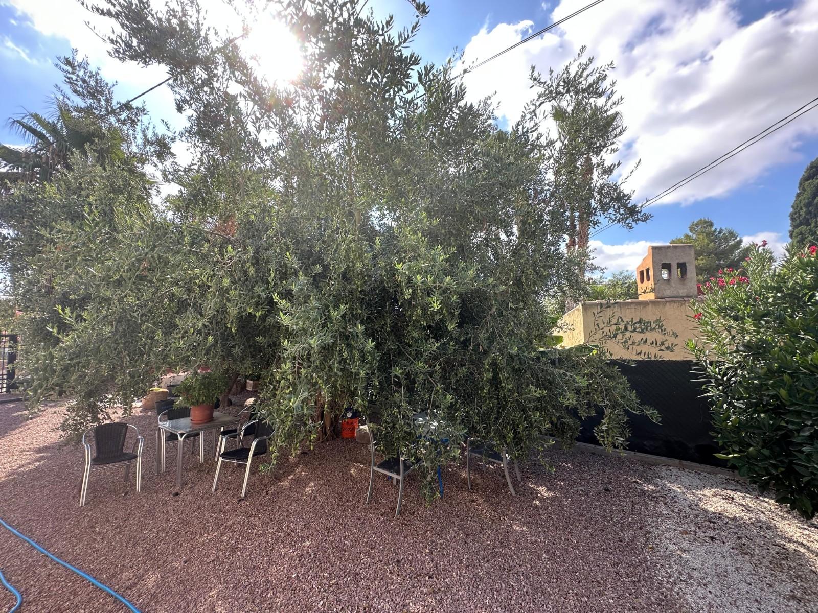 Casa en Venta en Crevillent
