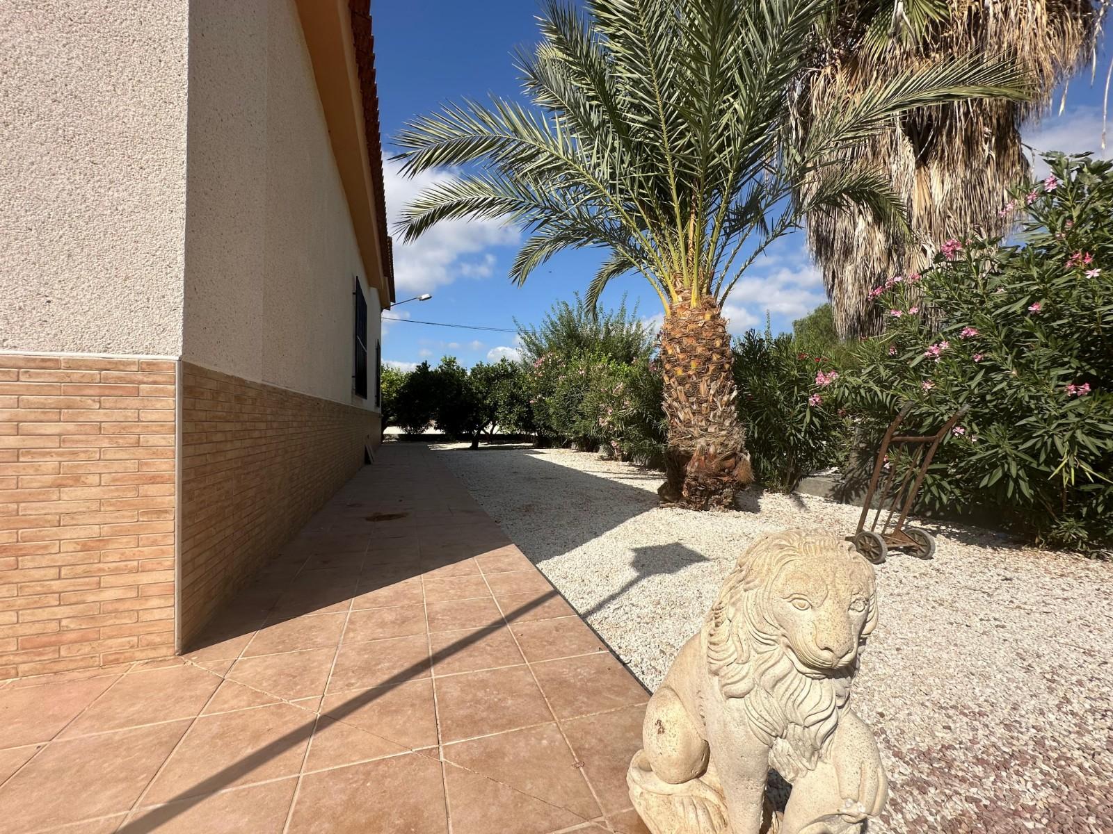 Casa en Venta en Crevillent