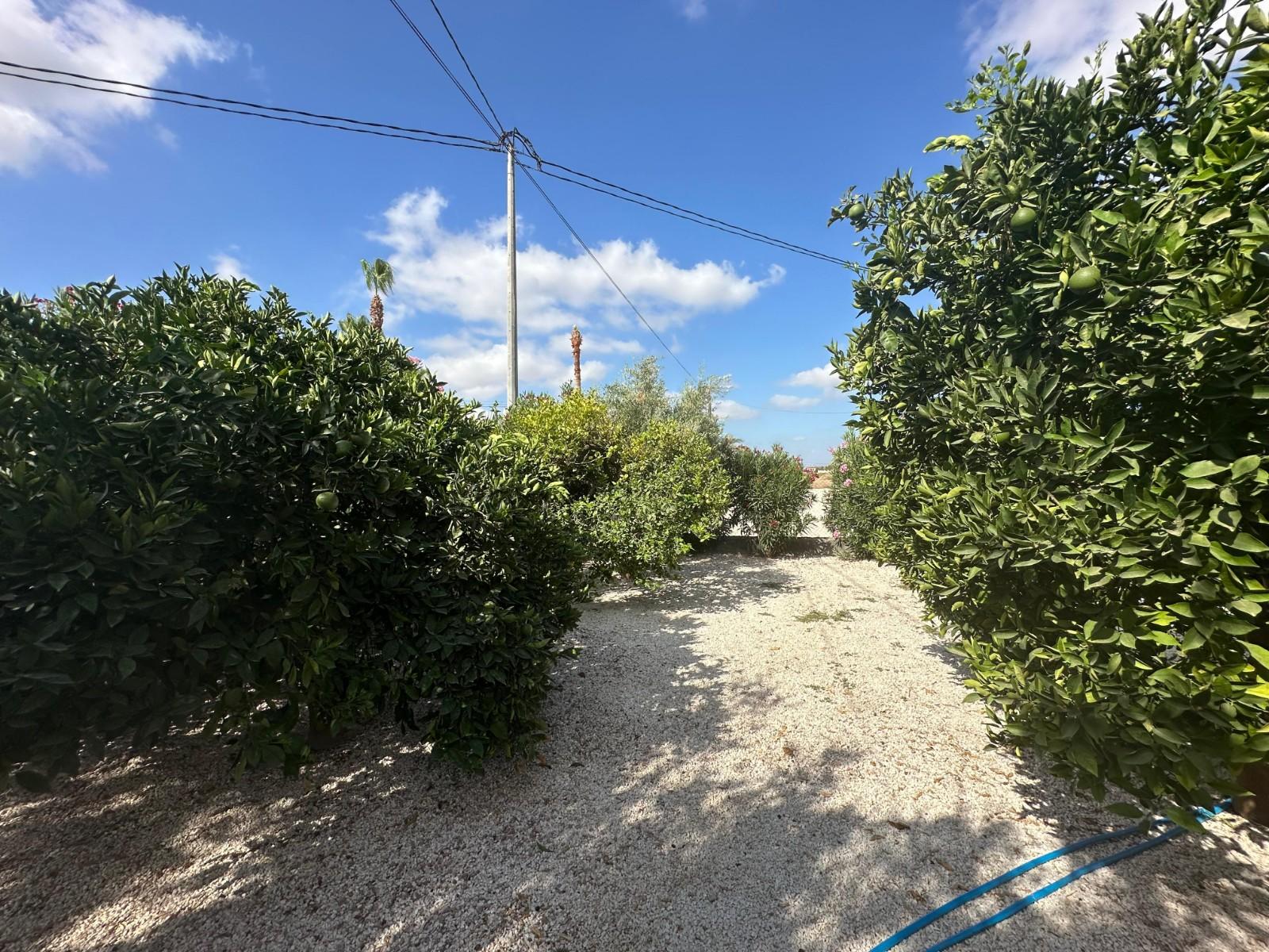 Casa en Venta en Crevillent