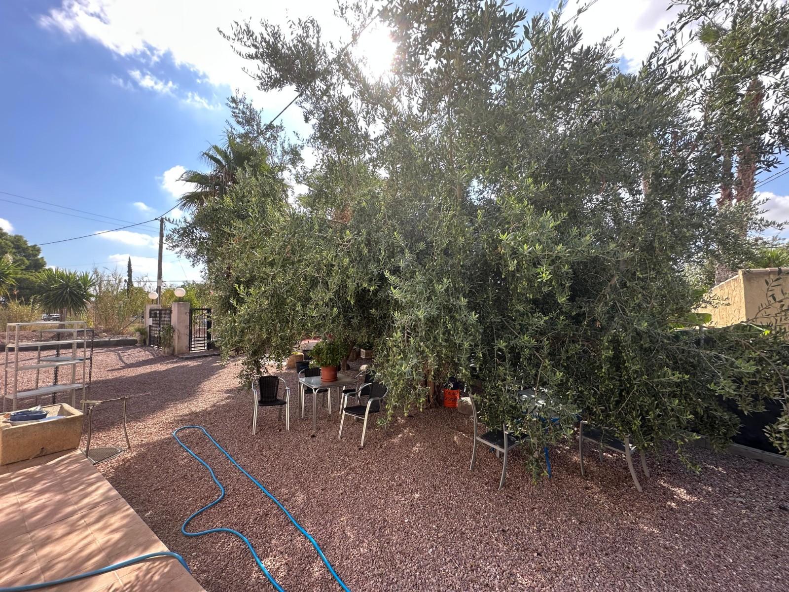 Casa en Venta en Crevillent