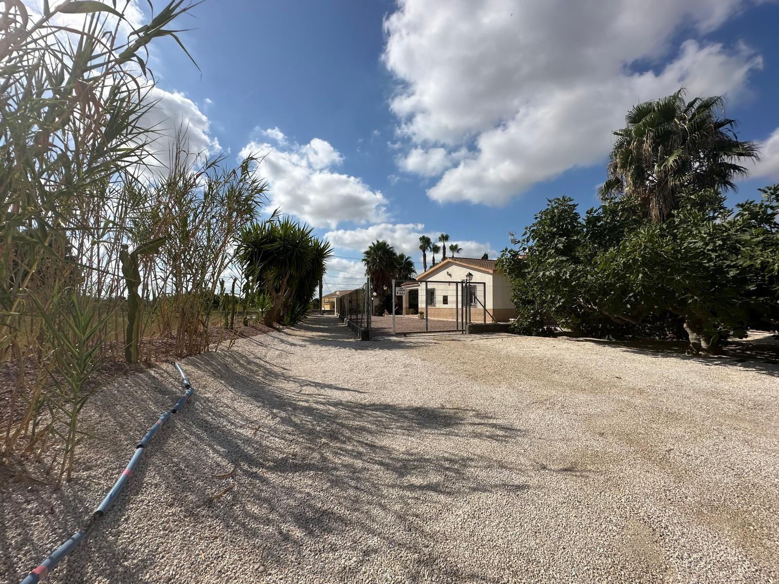 Casa en Venta en Crevillent