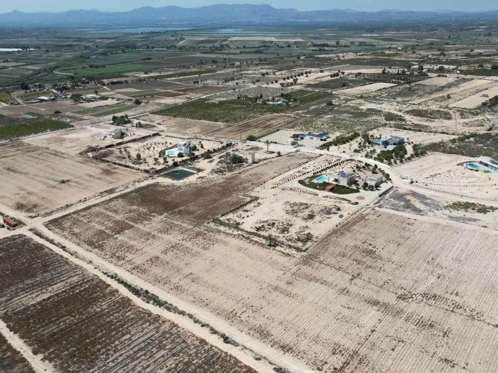 Parcela en Venta en Elche