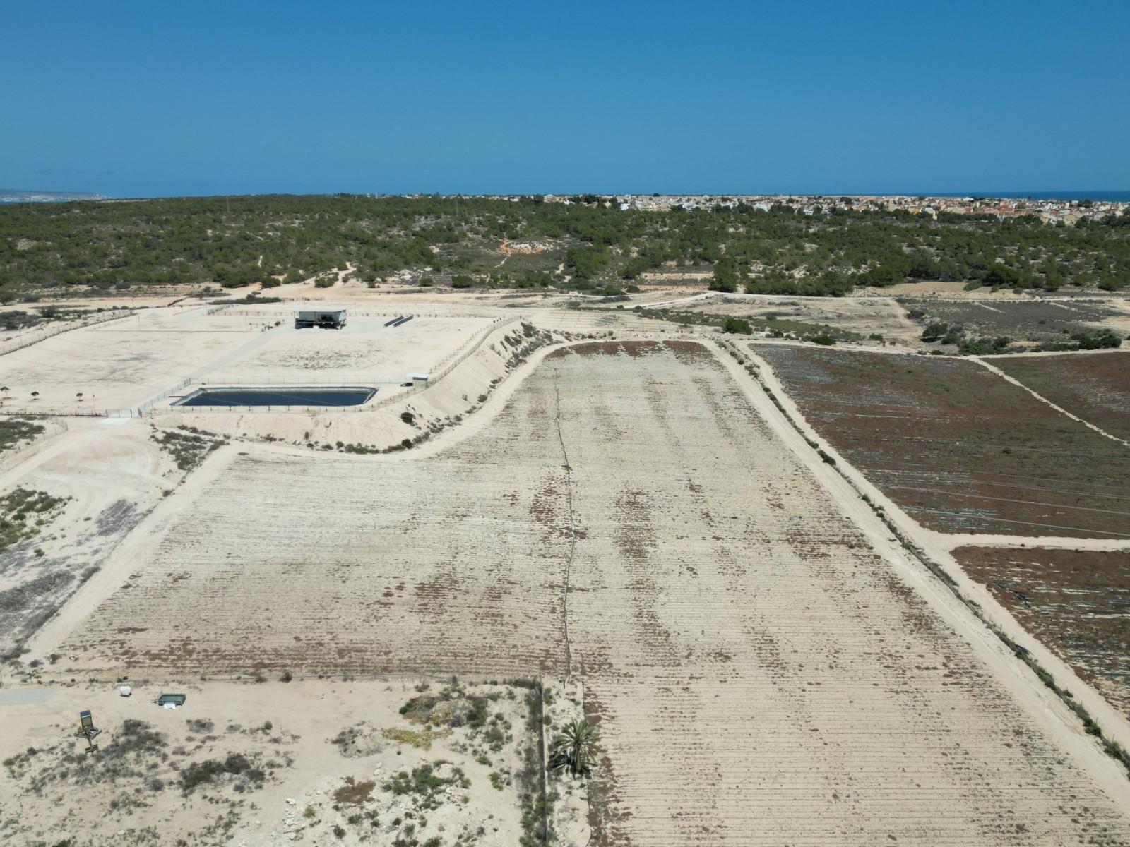 Parcela en Venta en Elche