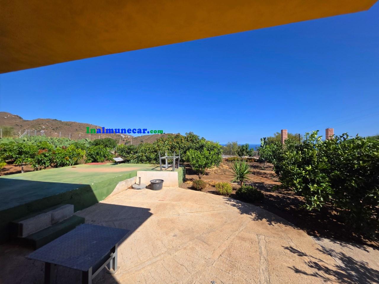 Plot for Sale in Almuñécar