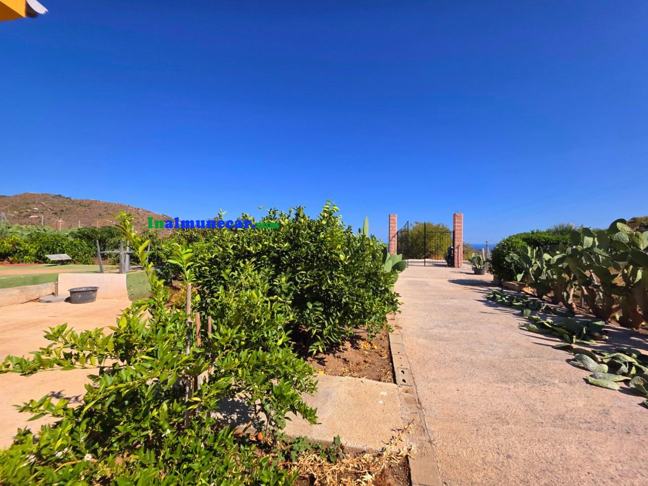 Plot for Sale in Almuñécar