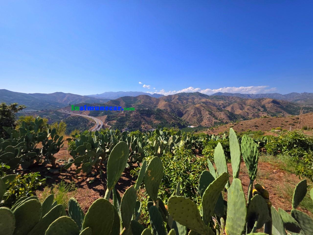 Plot for Sale in Almuñécar