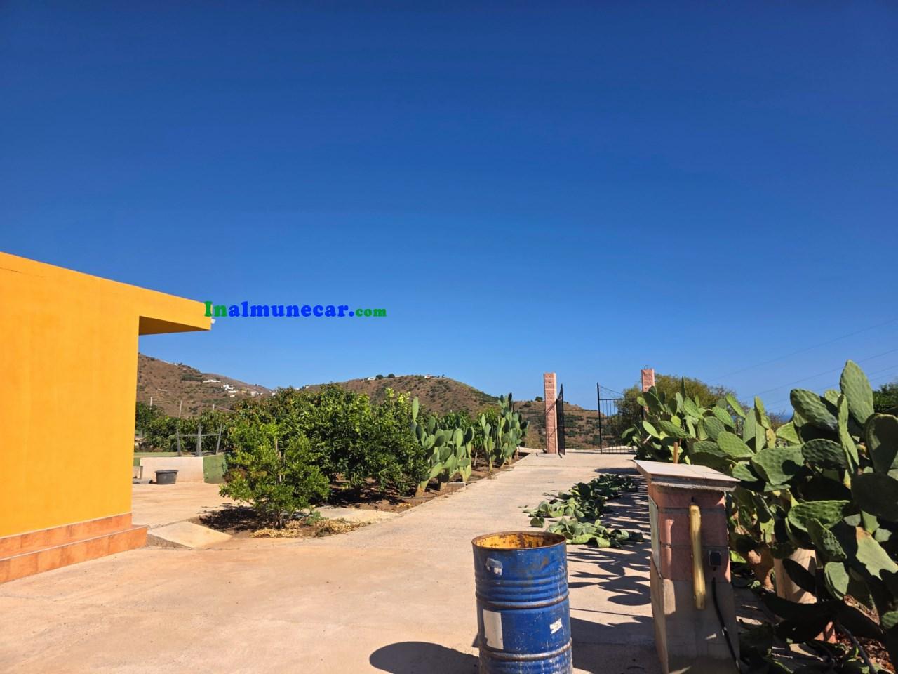 Plot for Sale in Almuñécar
