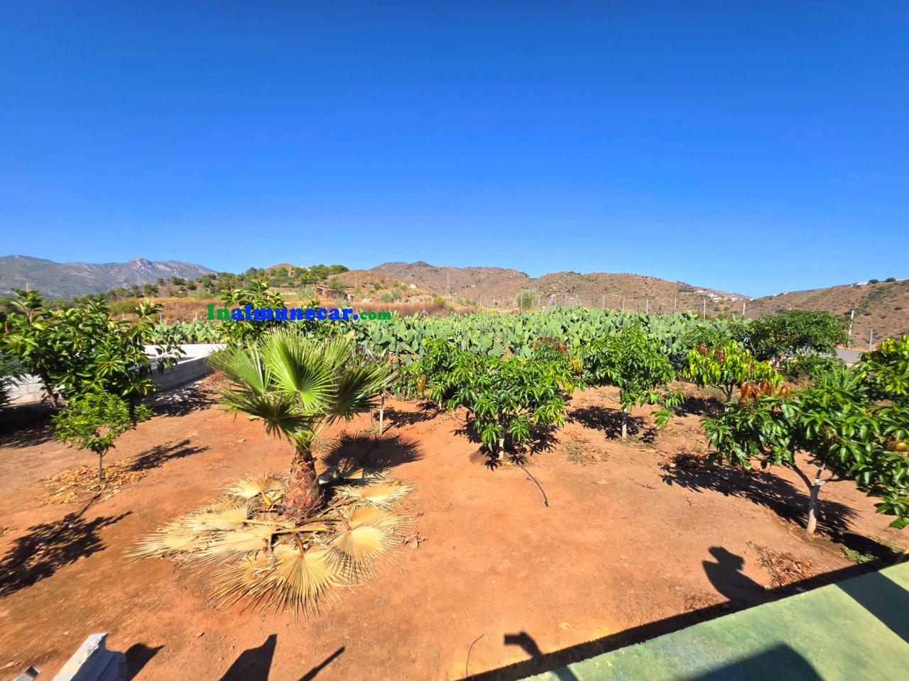 Plot for Sale in Almuñécar