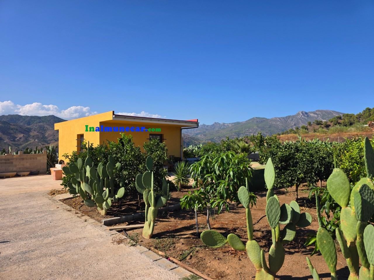 Plot for Sale in Almuñécar