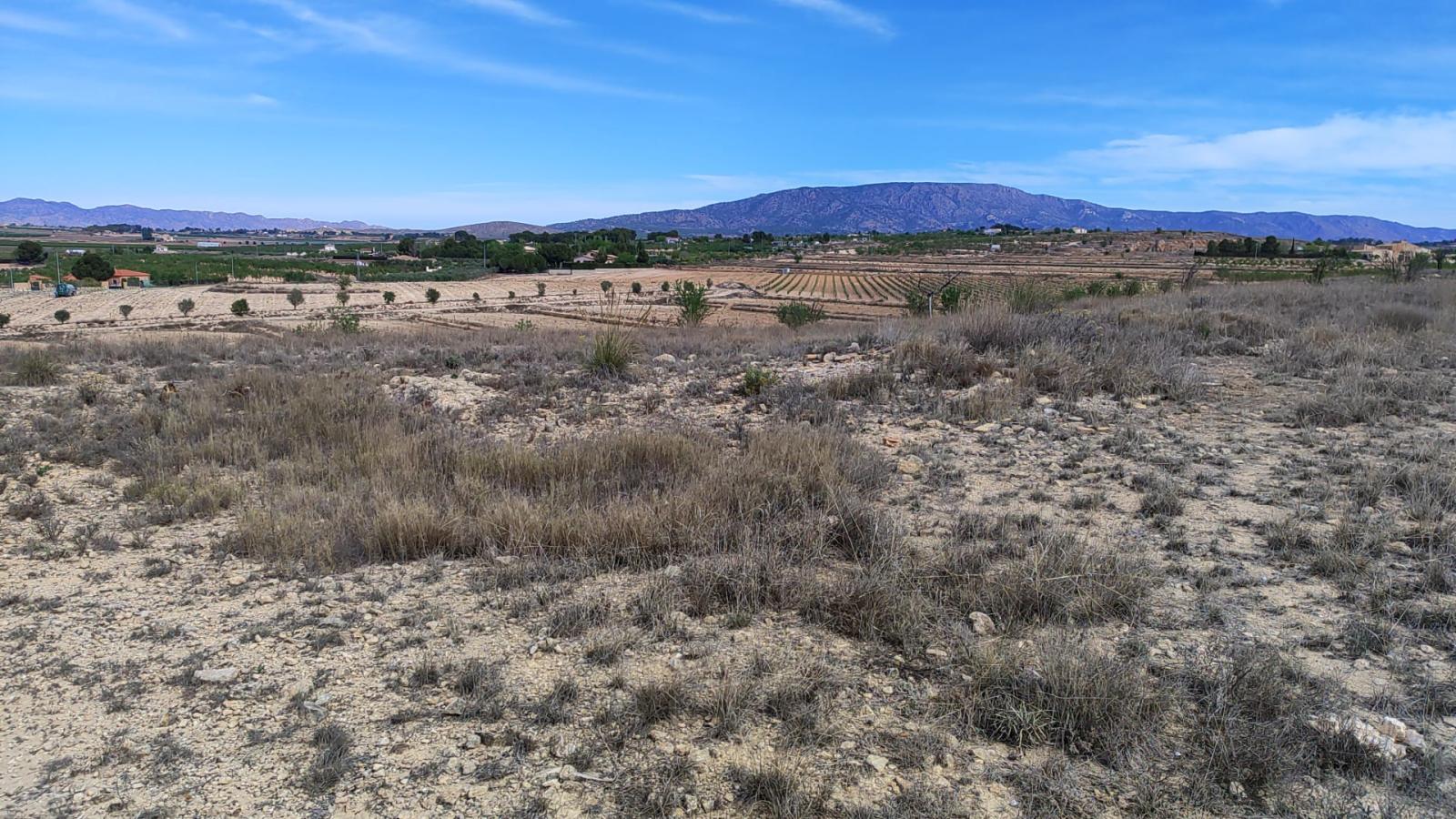Solar en Venta en Pinoso