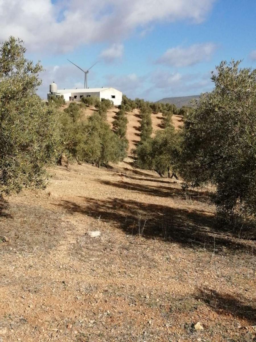 Finca en Venta en Sierra de Yeguas