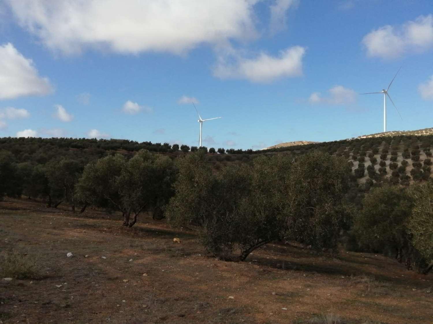 Finca en Venta en Sierra de Yeguas