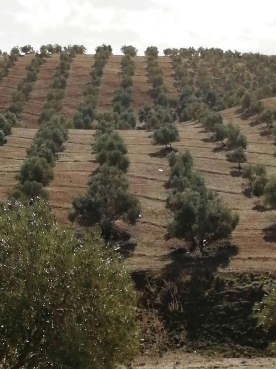 Finca en Venta en Sierra de Yeguas
