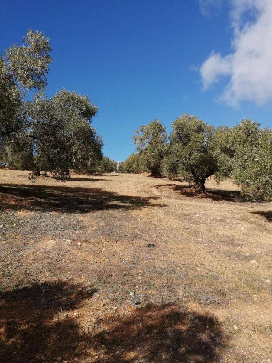Finca en Venta en Sierra de Yeguas
