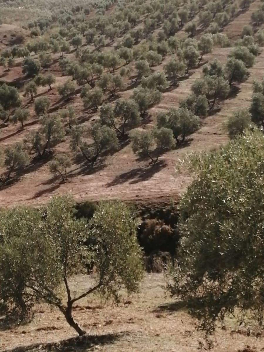Finca en Venta en Sierra de Yeguas