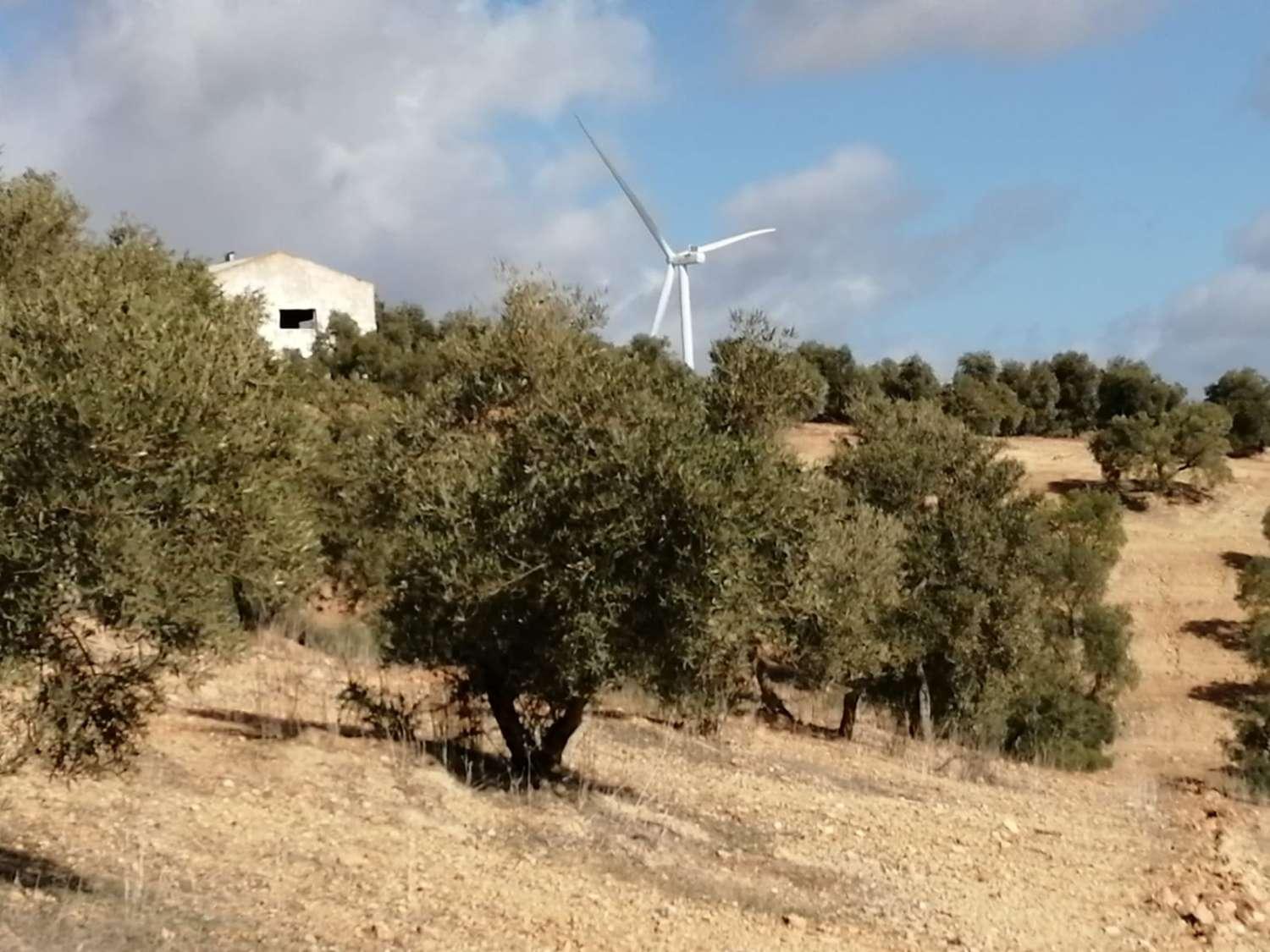 Finca en Venta en Sierra de Yeguas
