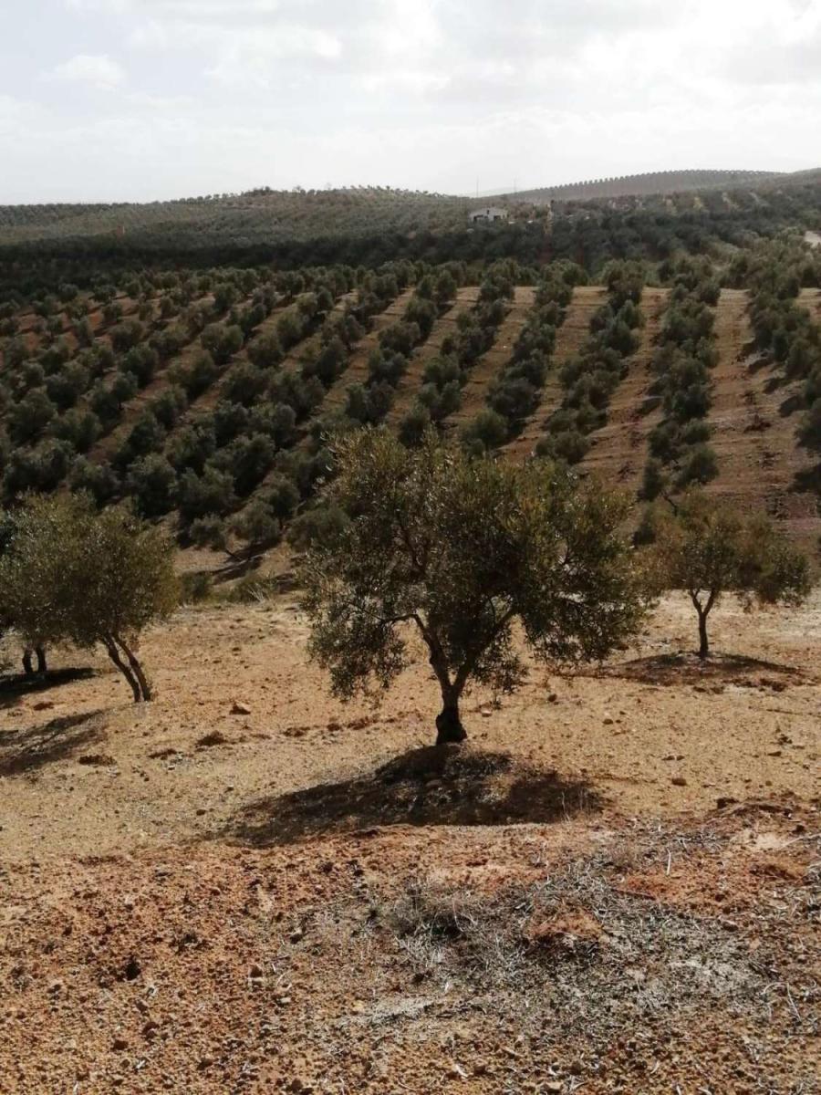 Finca en Venta en Sierra de Yeguas