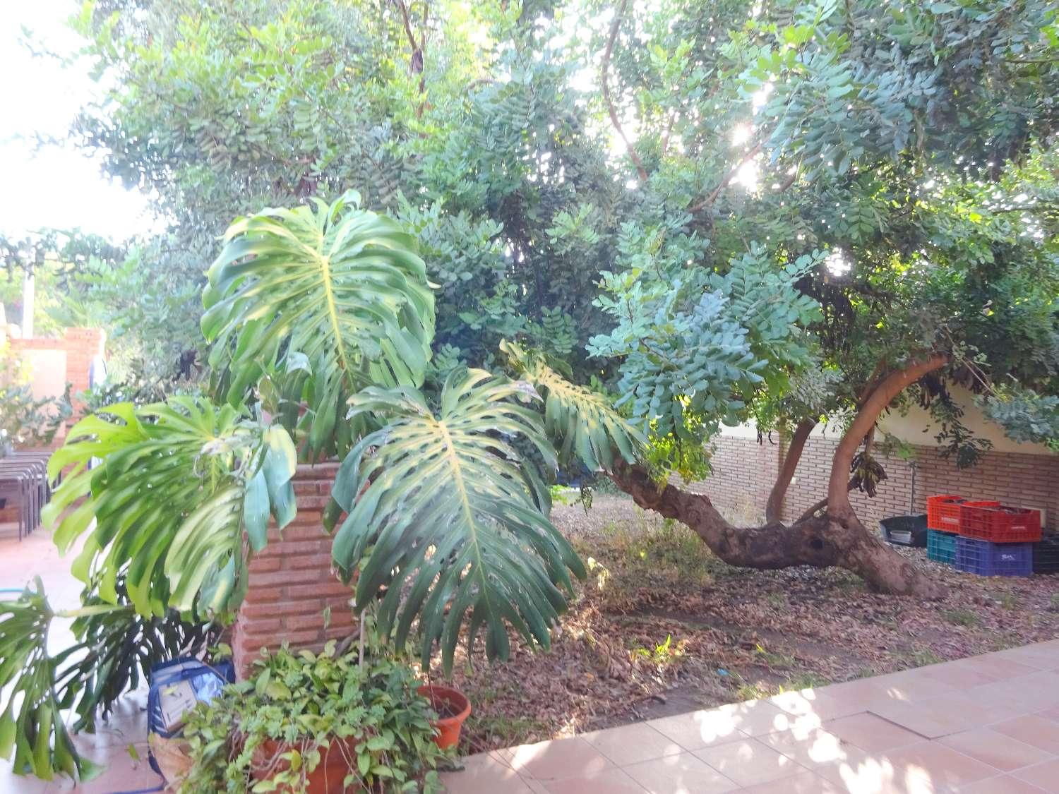 Semi-detached House for Sale in Alhaurín de la Torre
