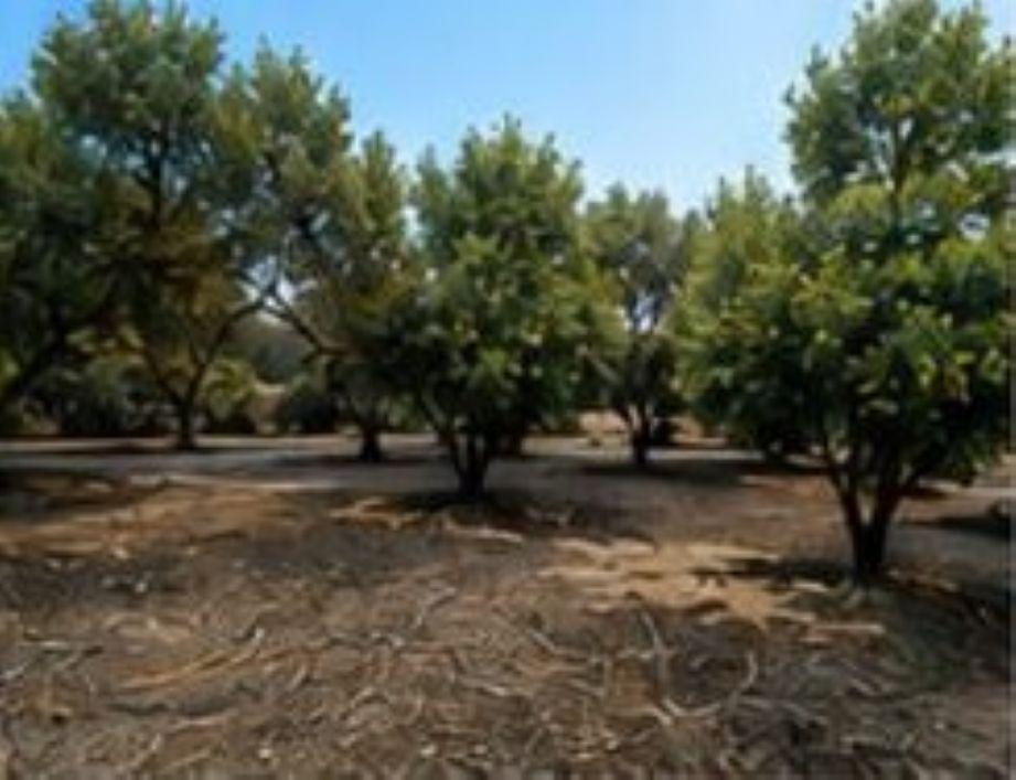 Plot for Rent in Alhaurín de la Torre