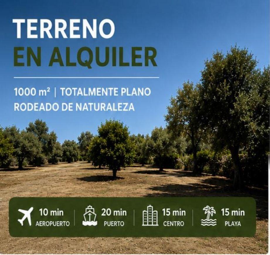 Plot for Rent in Alhaurín de la Torre