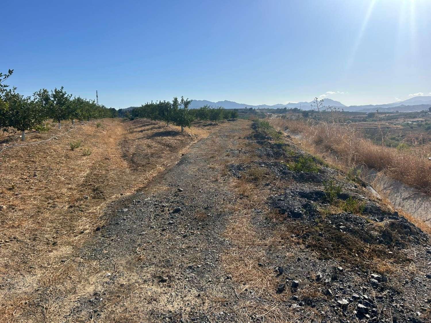 Plot for Sale in Cártama