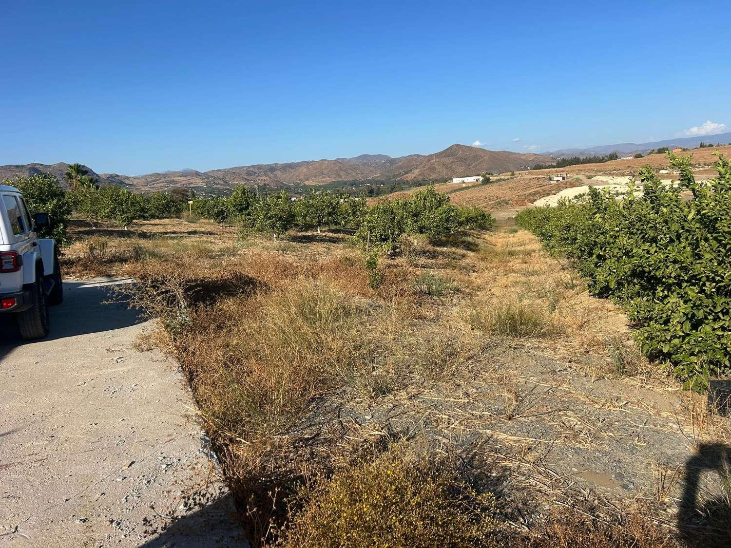 Plot for Sale in Cártama