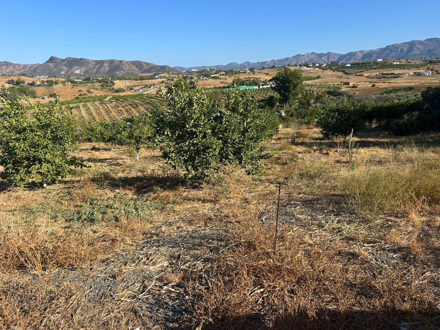 Plot for Sale in Cártama