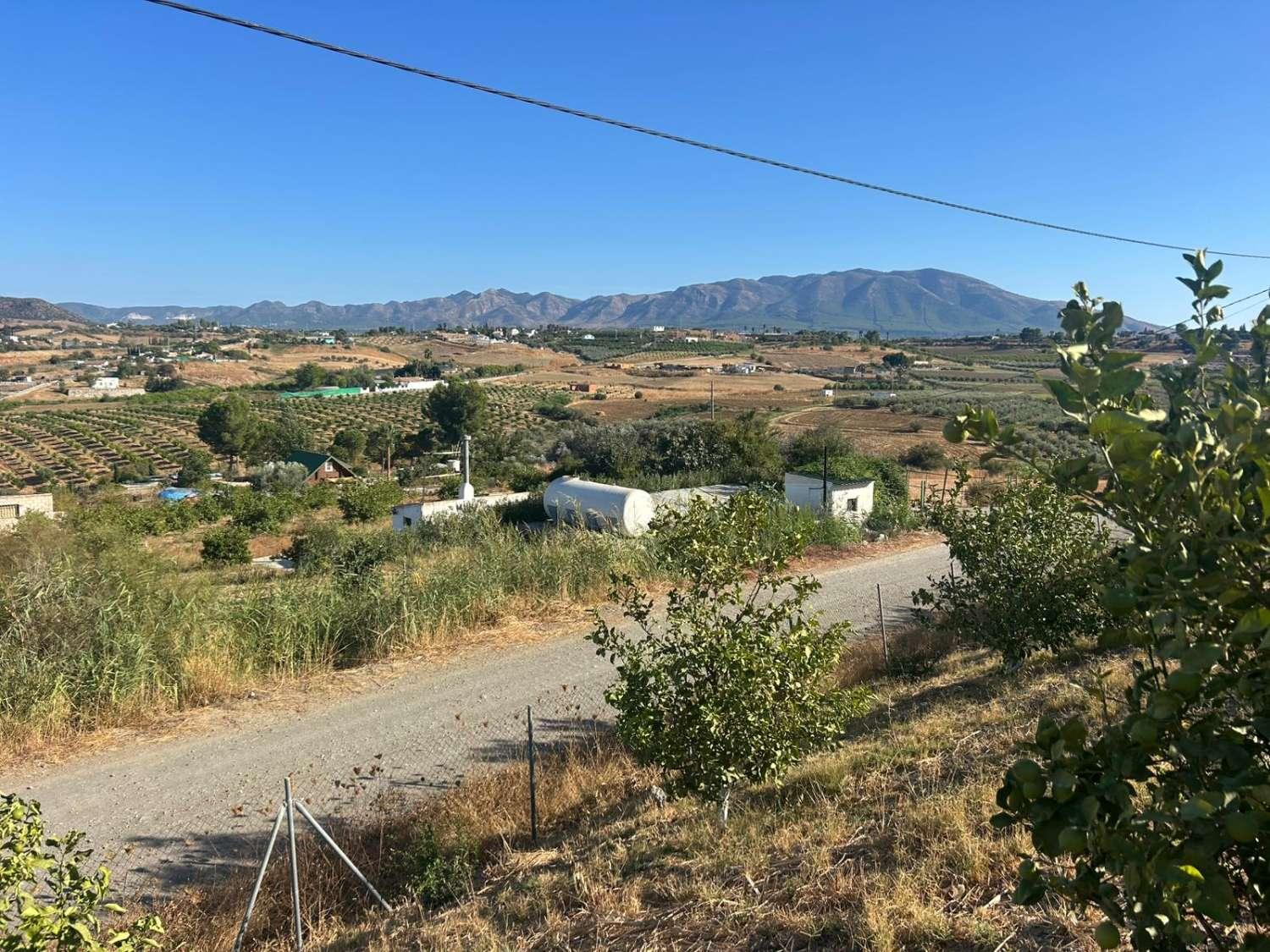 Plot for Sale in Cártama