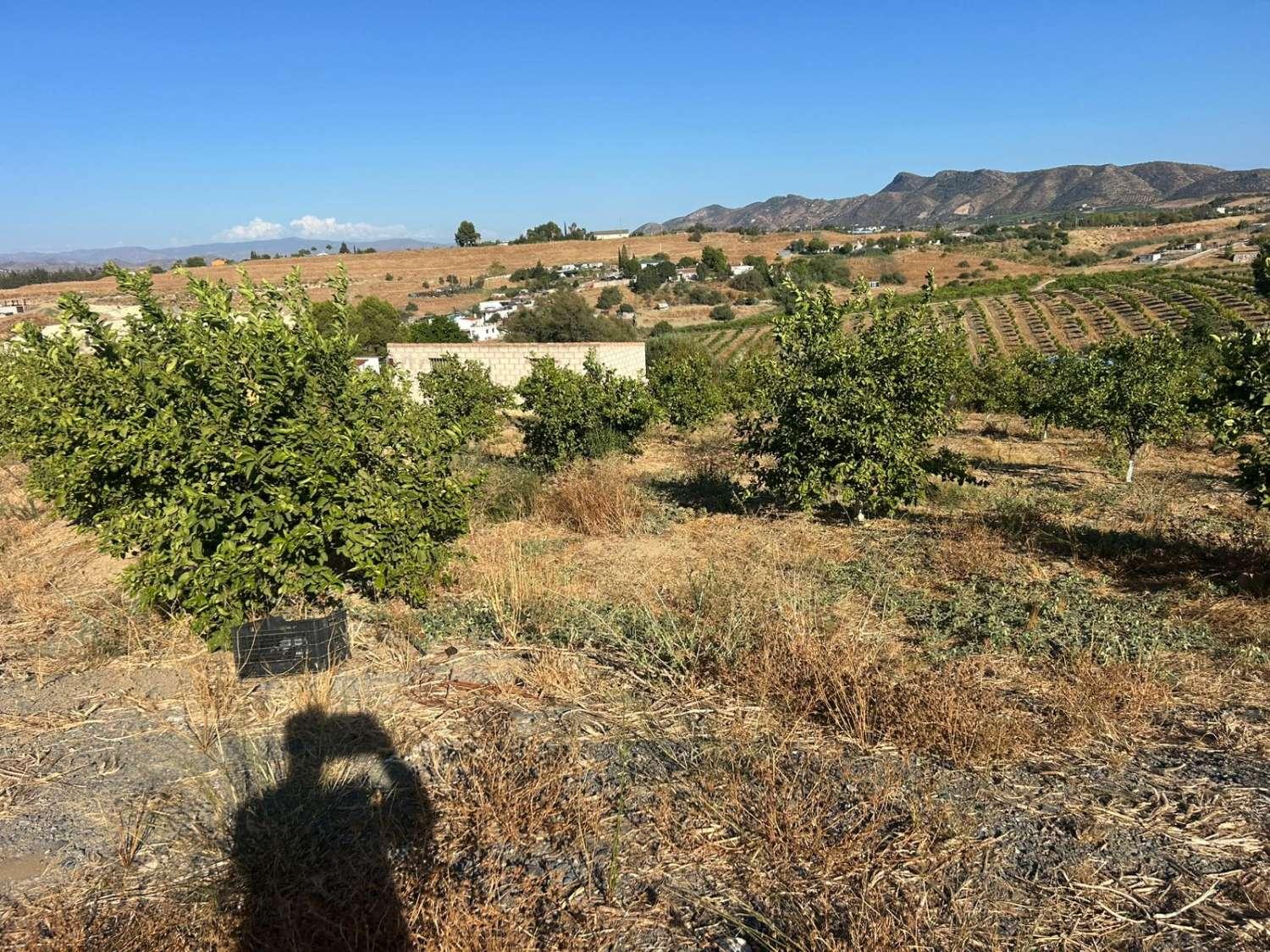Plot for Sale in Cártama