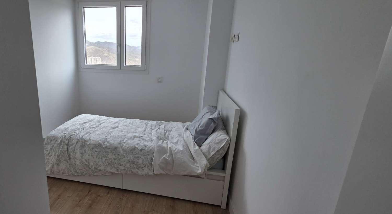 Flat for Rent in Málaga