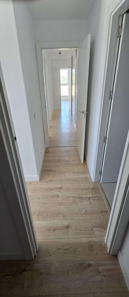 Flat for Rent in Málaga