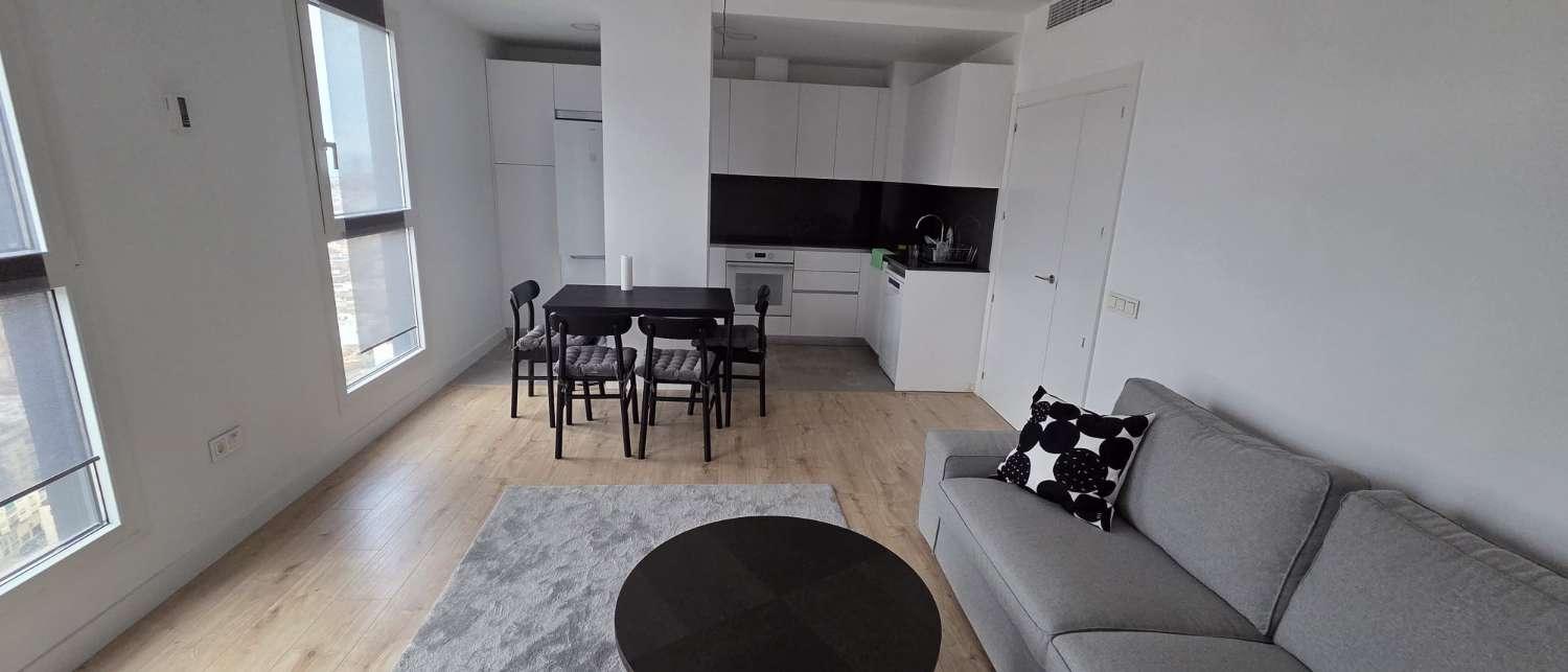 Flat for Rent in Málaga