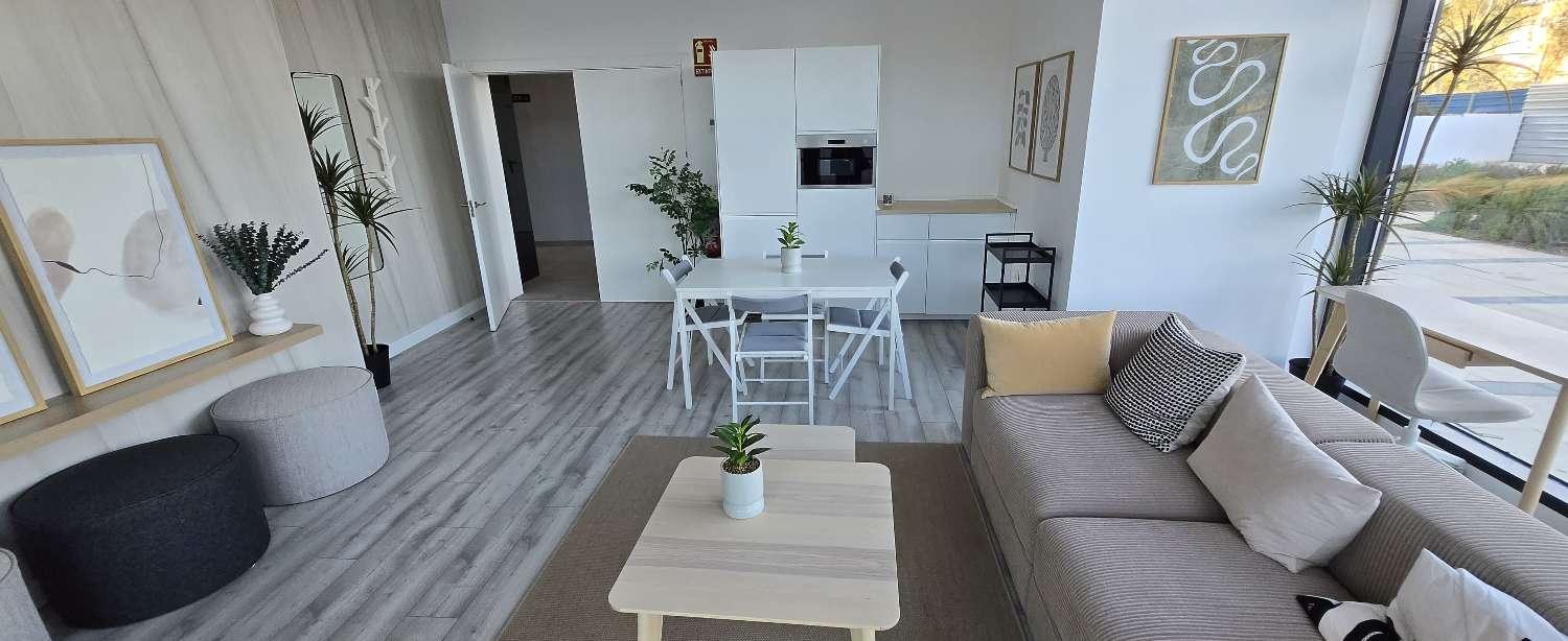 Flat for Rent in Málaga