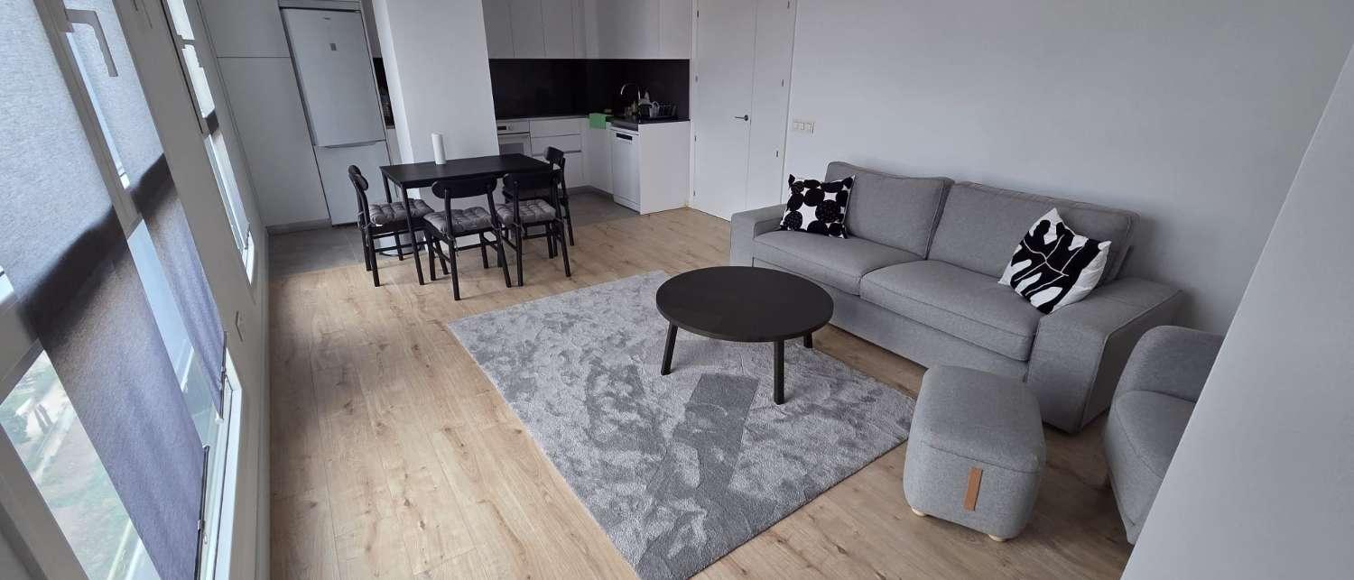 Flat for Rent in Málaga