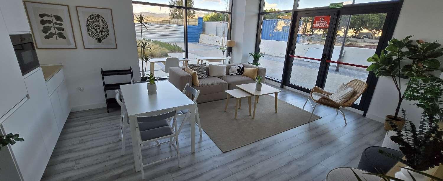 Flat for Rent in Málaga