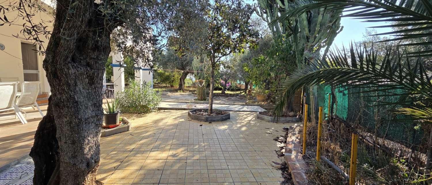 Villa for Rent in Alhaurín de la Torre