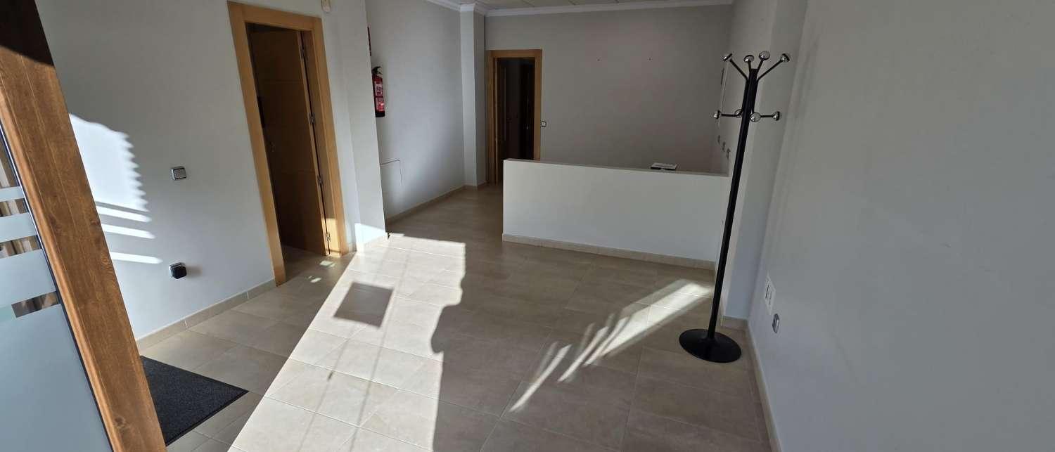 Premise for Rent in Alhaurín de la Torre