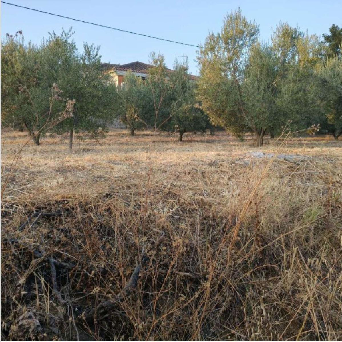Parcela en Venta en Coín