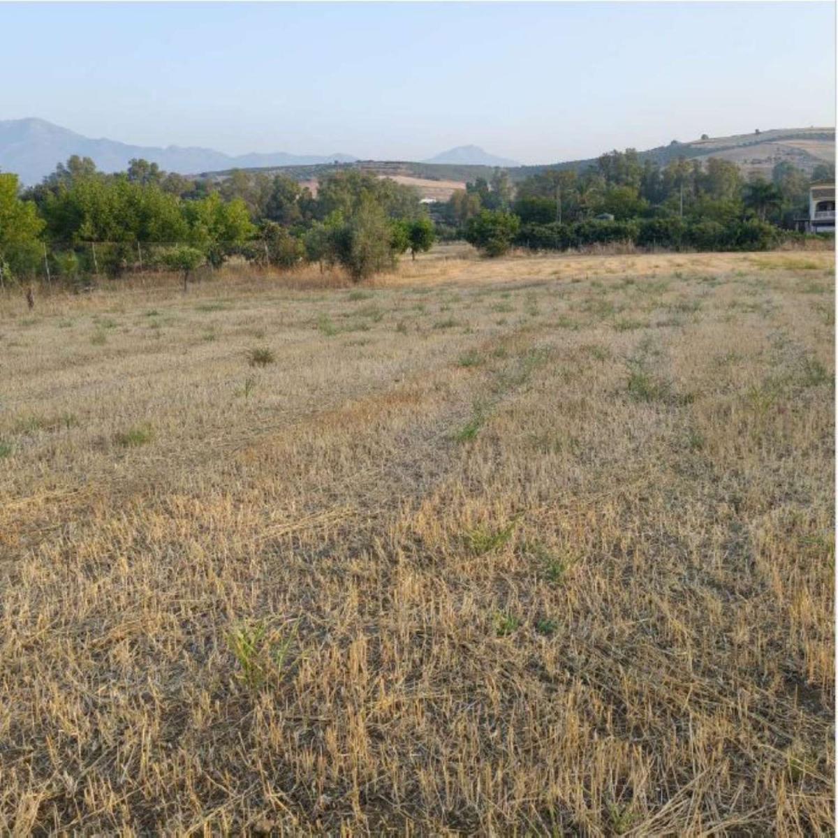 Parcela en Venta en Coín