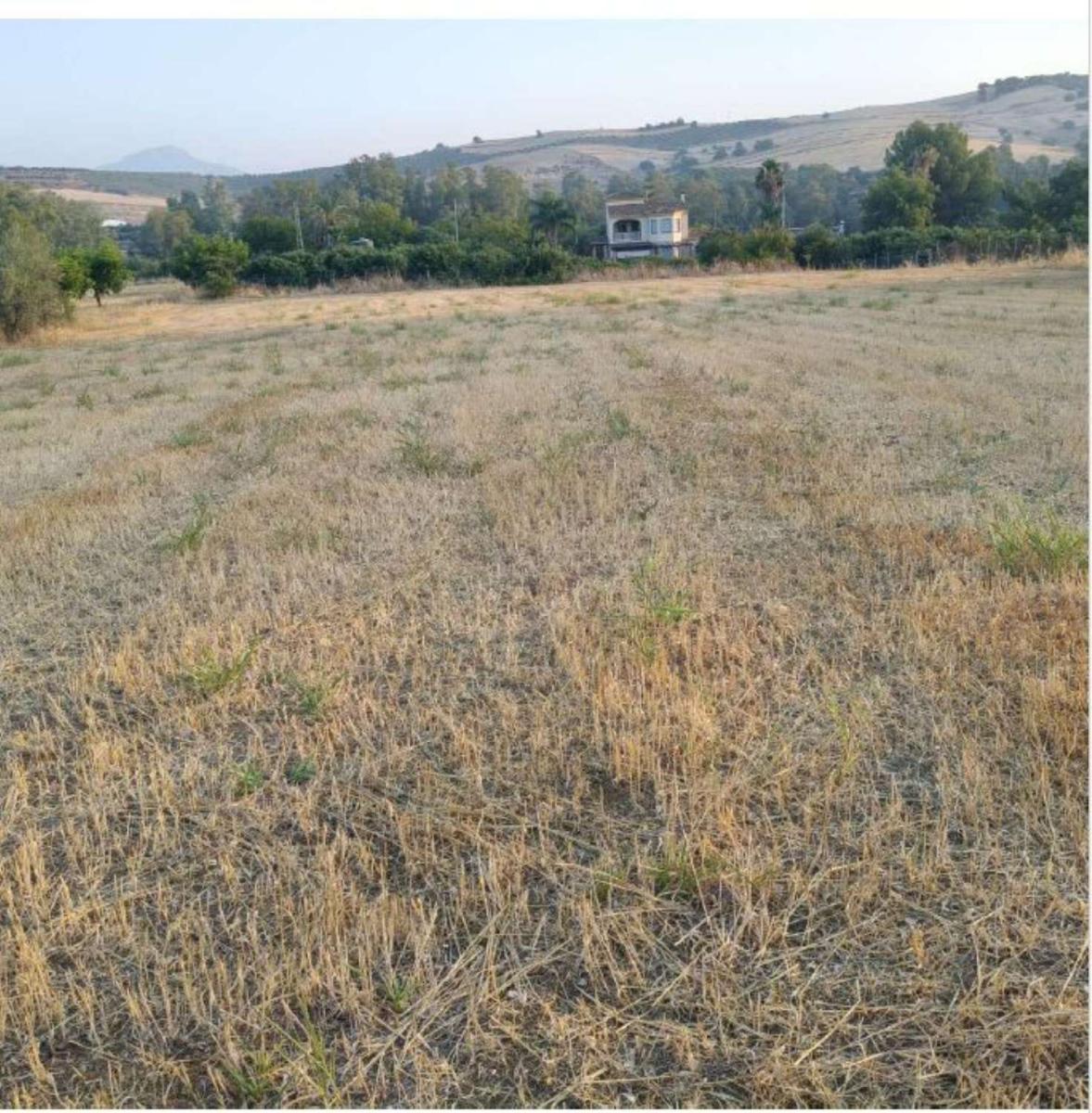 Parcela en Venta en Coín