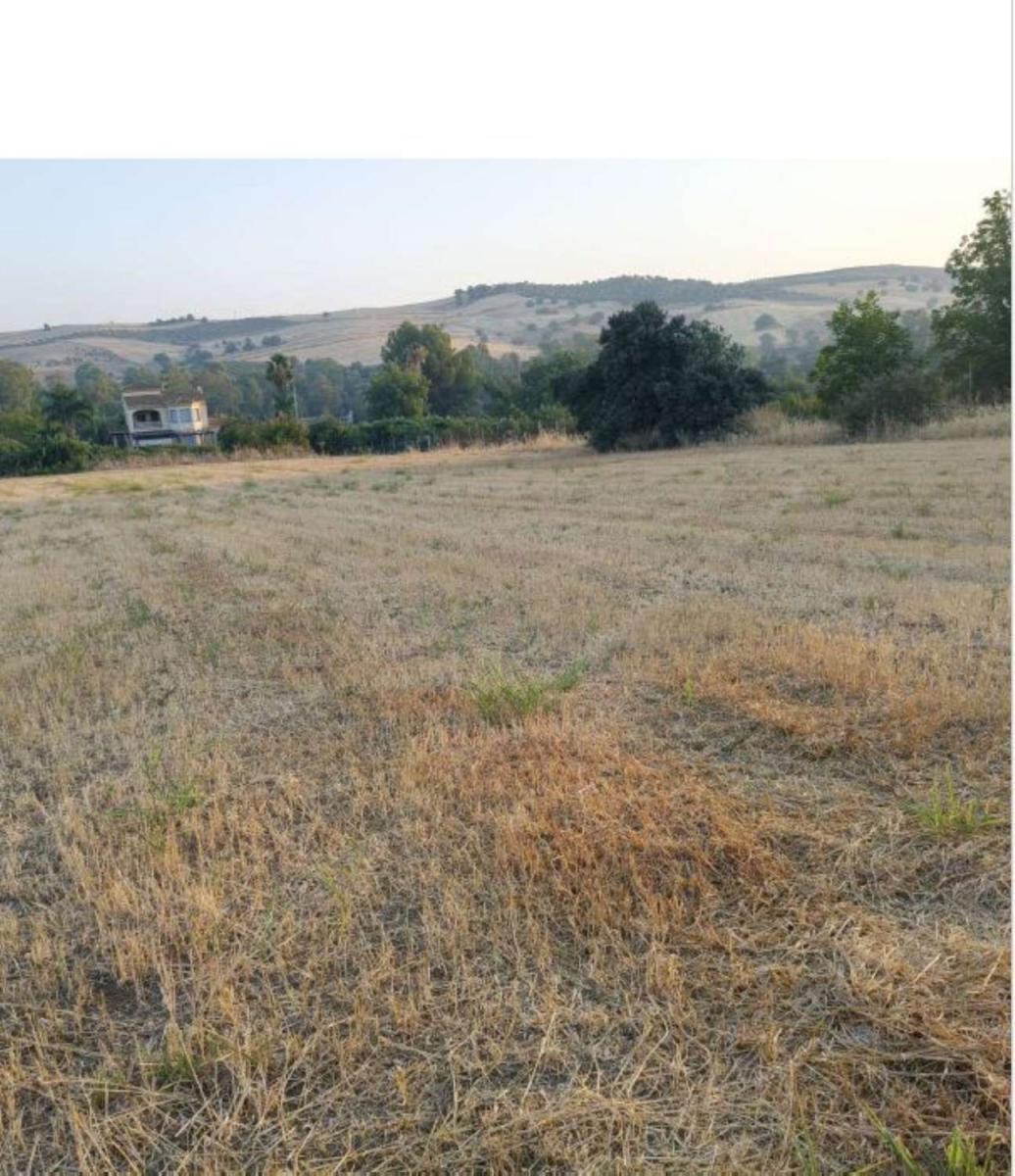Parcela en Venta en Coín