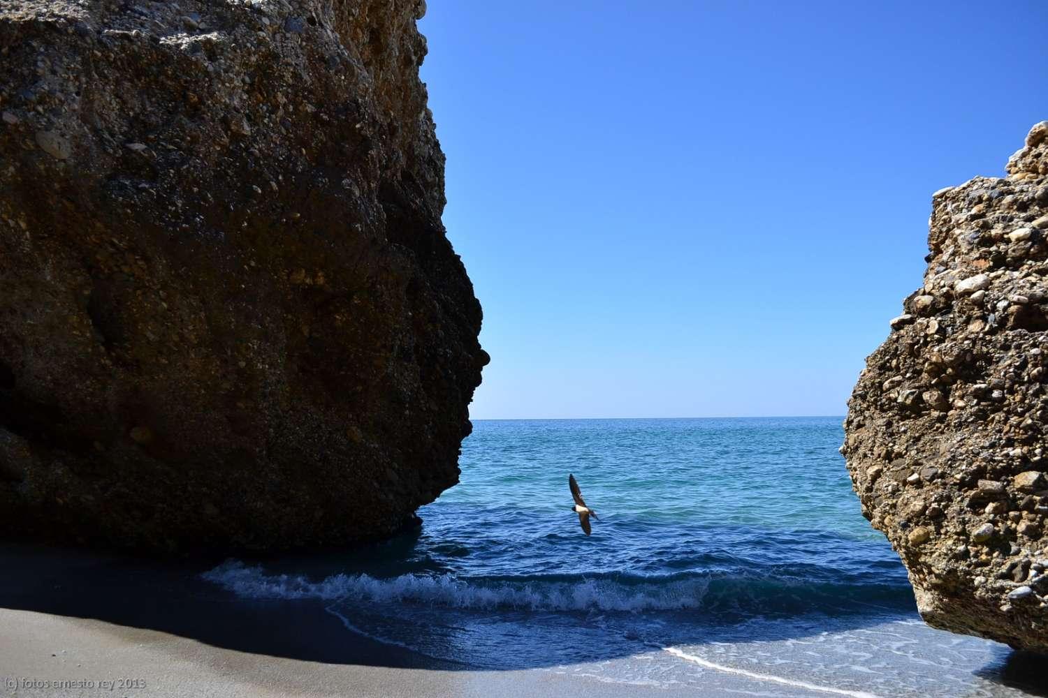 Semi-detached House for Sale in Nerja