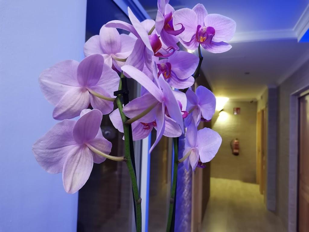 Hotel for Sale in Calpe
