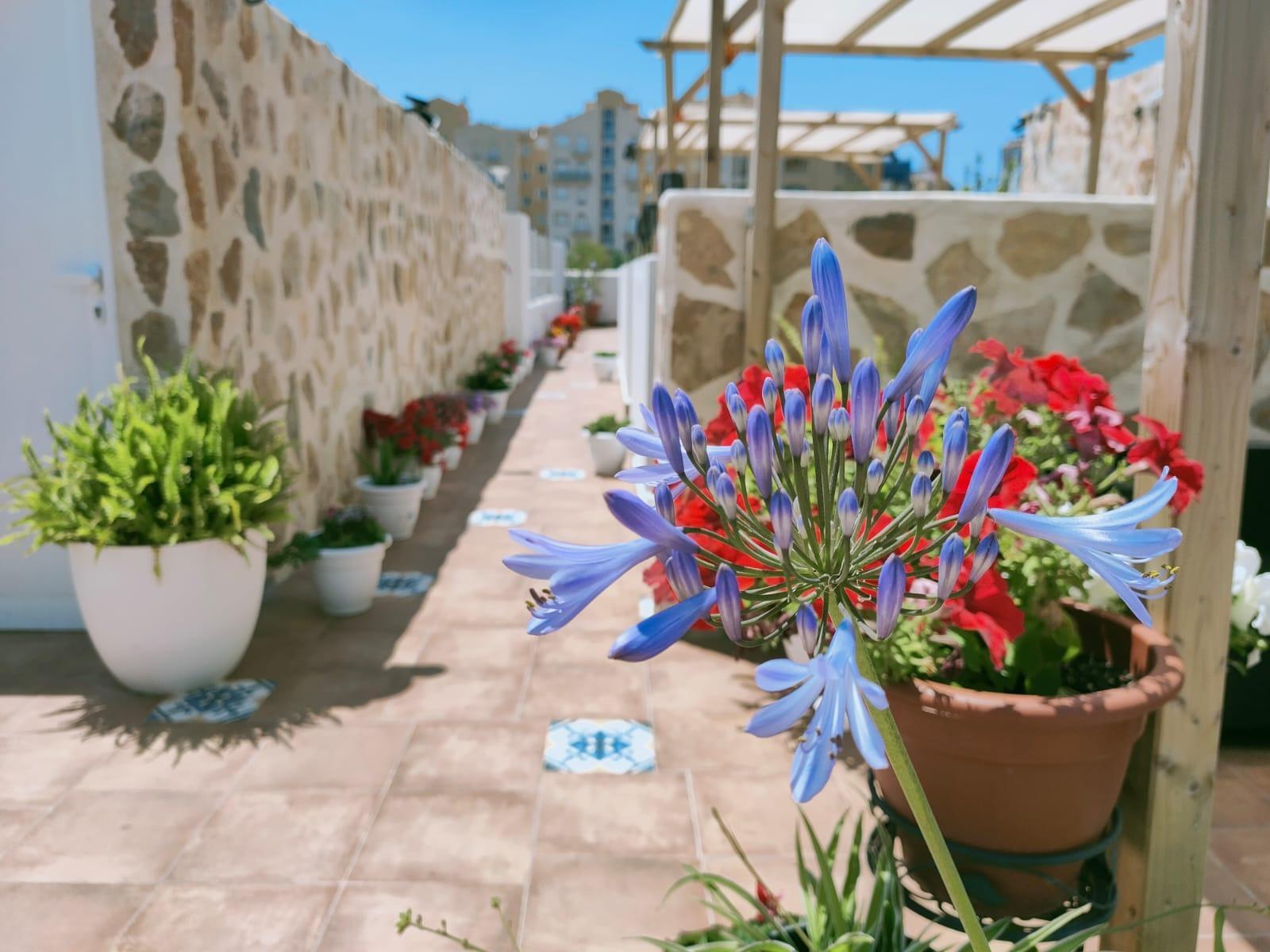 Hotel for Sale in Calpe