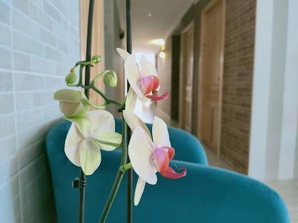 Hotel for Sale in Calpe