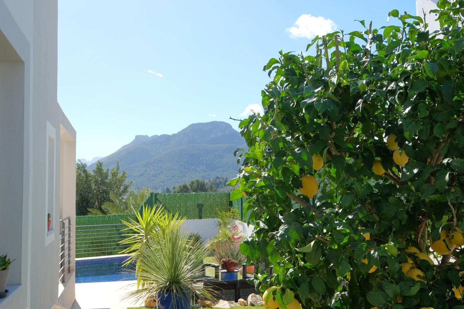 Chalet for Sale in Alcalalí
